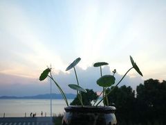 -美味之家·湖景农家乐(太湖东山店)