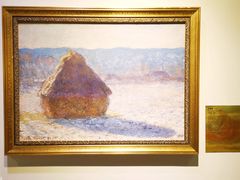 -印象莫奈时光映迹艺术展