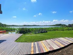 -东滩湿地公园观海楼餐厅