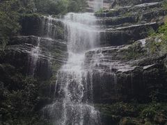 -老字号怡玺·藿香雅鱼(20年雅安店)