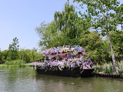 -溱湖国家湿地公园