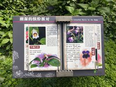 -深圳仙湖植物园