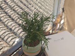 -闲·胡同 Barblu Hutong(雍和宫五道营店)