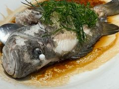 -海儀美食楼(湾仔海鲜街店)
