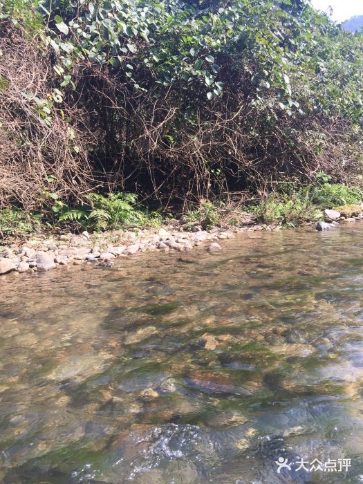 古龙山大峡谷图片