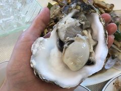 鲜生蚝-新金盛·海鲜酒楼(盐田店)