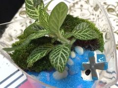 -A+匠心DIY手工坊·首饰·微景观