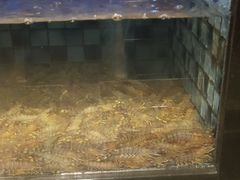 -官也街澳门火锅(新源里店)