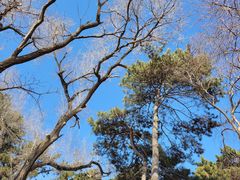 -长春市南湖公园