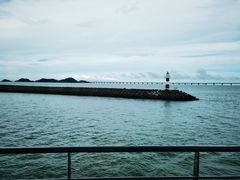 -港珠澳大桥(珠海段)