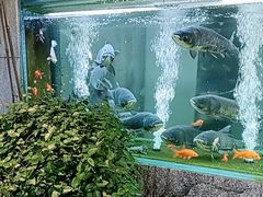 -又见炊烟私房菜(敬亭路店)