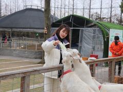 -前小桔亲子创意农场·草莓采摘·露营烧烤