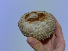 豆馅烧饼-老回回烩面馆(左家庄店)