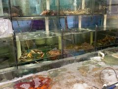 水产区-金地利海鲜酒楼(清凉门店)