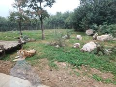 -西安秦岭野生动物园