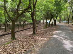 -嘉北郊野公园