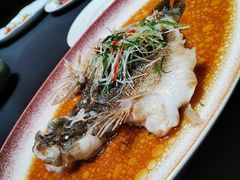 -曼格纳·曼芯馆(杨浦店)