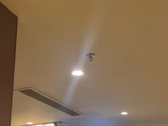 -霸王茶姬(上海恒基名人店)