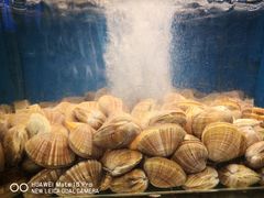 -苏大嘴海鲜牧场(奥林匹克店)