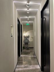 -玛莲朵·海菲秀冰珀科