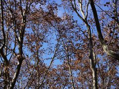 -同济大学本部学苑饮食广场