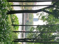 -荔枝公园(福田区)