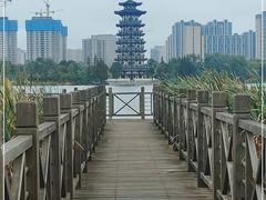-洋湖国家湿地公园