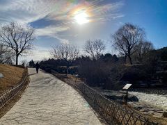 -北京西山国家森林公园