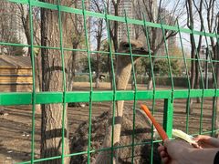 -长白岛森林公园