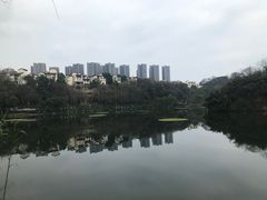 -重庆彩云湖湿地公园