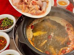 -花苑美食横琴生蚝火锅(拱北粤华路店)