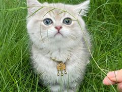 -悠尼宠物·独立低压伊珊娜洗护·美容·寄养(兰谷路店)