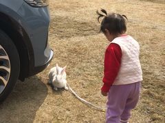 -洪湖家庭农场·团建·露营·会议