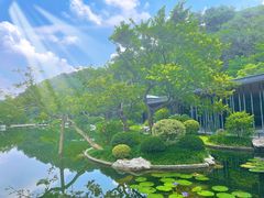 -云溪植物园
