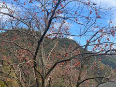 -丹山赤水风景名胜区