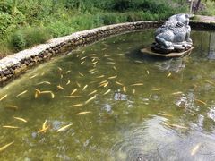 -大连天门山国家森林公园