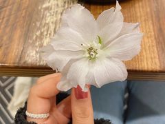 -FLOVIE FLORIST CAFE