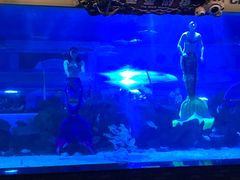 -成都浩海立方海洋公园