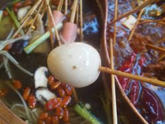 -镇江龙·火锅串串(武侯祠店)