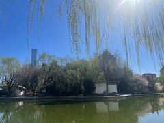-团结湖公园