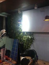 -柯琳造型