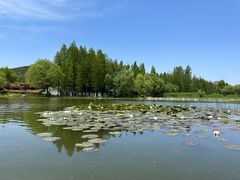 -云龙湖旅游景区