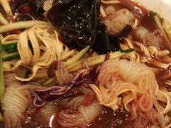 捞拌蕨根粉-鑫顺园小骨头羊杂馆(塔湾店)