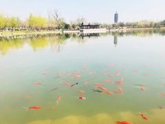 -西海子公园