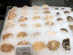 -超级物种·波龙工坊(国贸店)