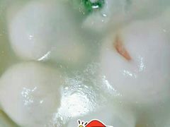 荠菜全肉双拼-七宝老街水磨汤圆(瞿溪路店)