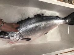 -桂马·日本料理·海胆·海鲜饭·酒场(民主广场店)