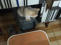 -联合动物医院(光谷诊疗中心)
