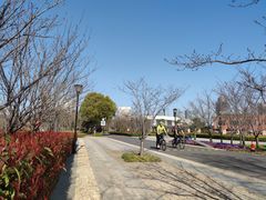 -上海山野camping·户外天幕烧烤·团建拓展营地