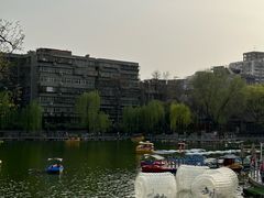 -莲湖公园